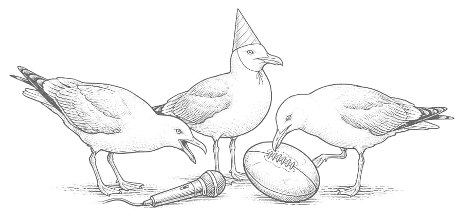 Seagulls with a microphone, party hat and rugby ball