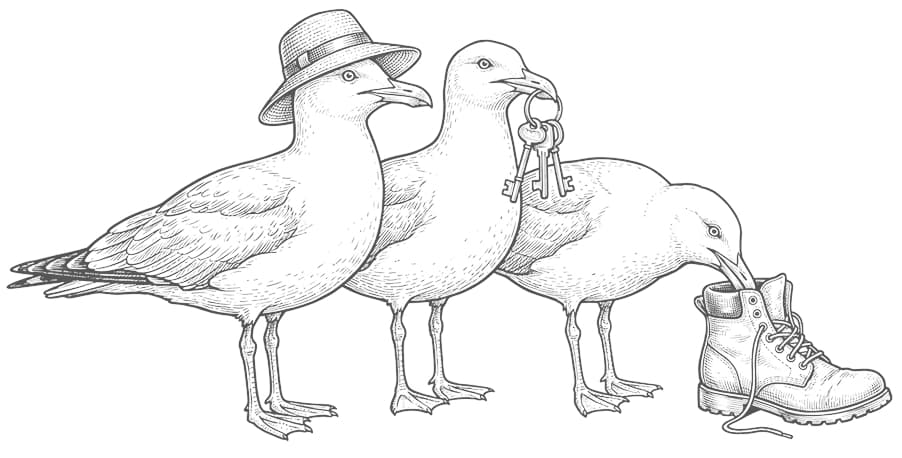 Seagulls with a skateboard, camera and paintbrush