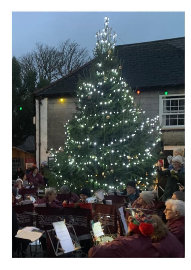 Banner image for Christmas Lights Switch On