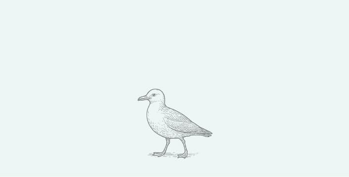 Default image