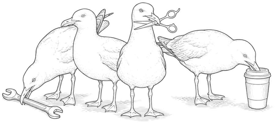 Seagulls with a spanner, takeaway coffee and hairdressing scissors