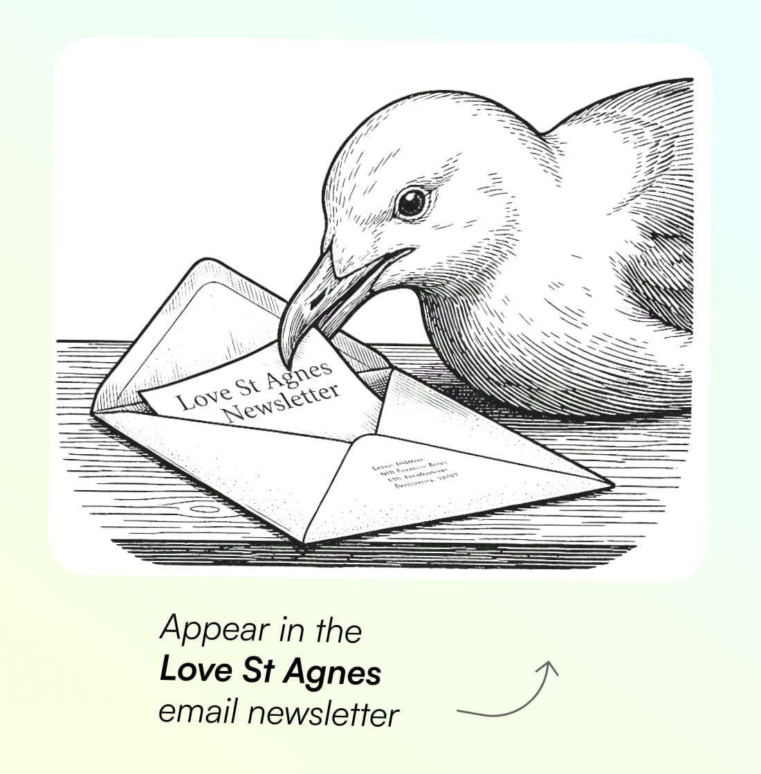 Events & new business listings are prioritised in the Love St Agnes newsletter.