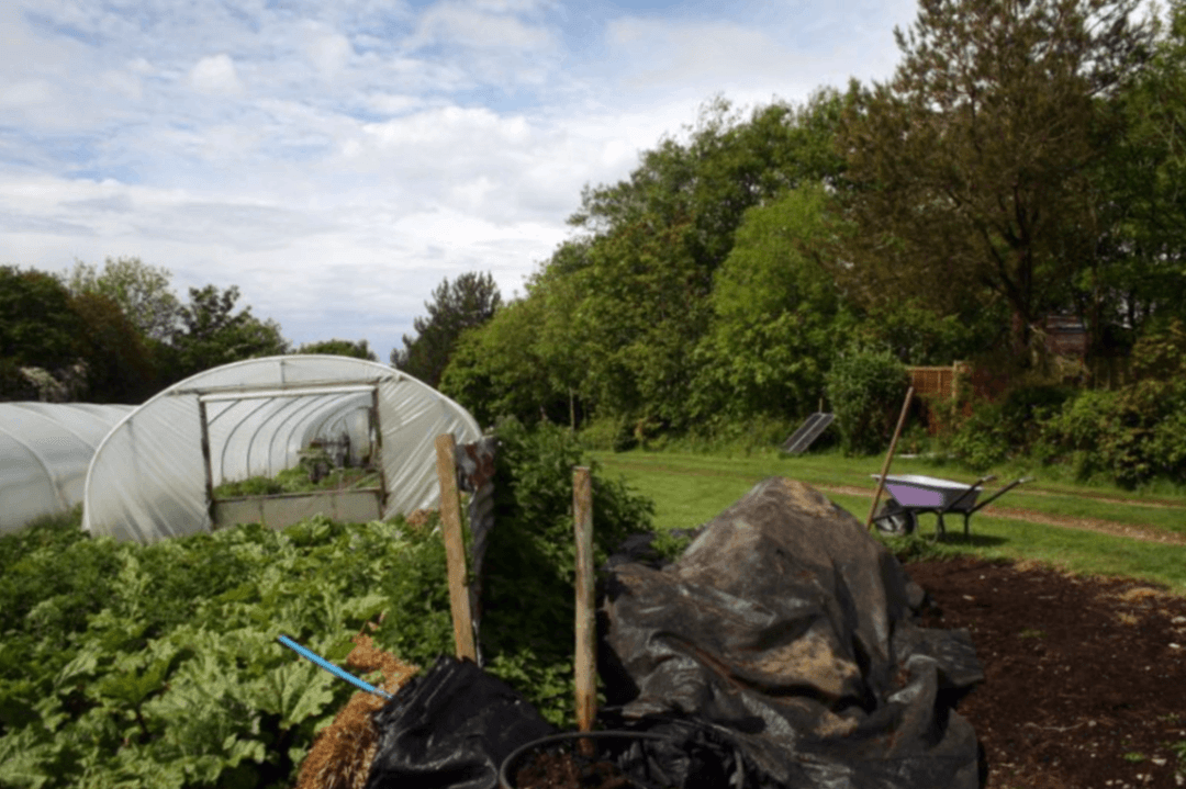 Tree Of Life Organics