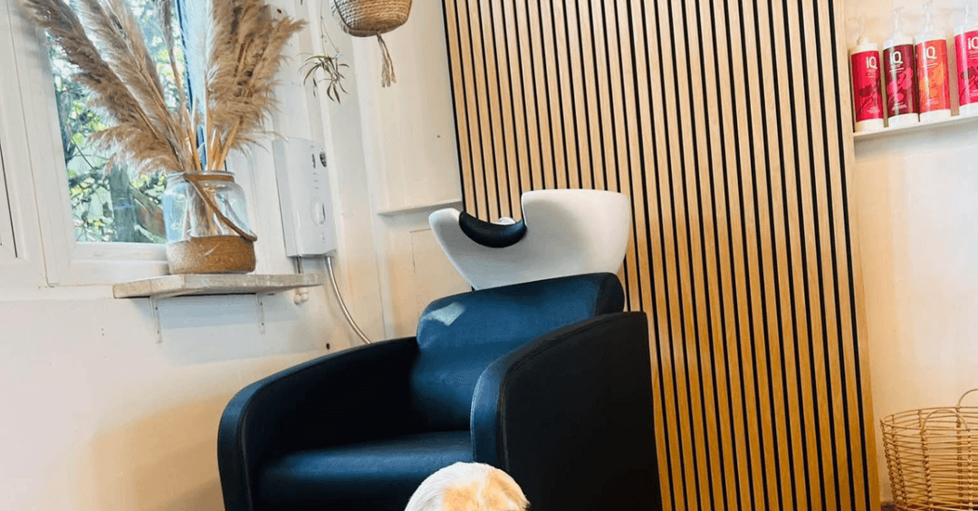 Forgetmeknot Hair Salon