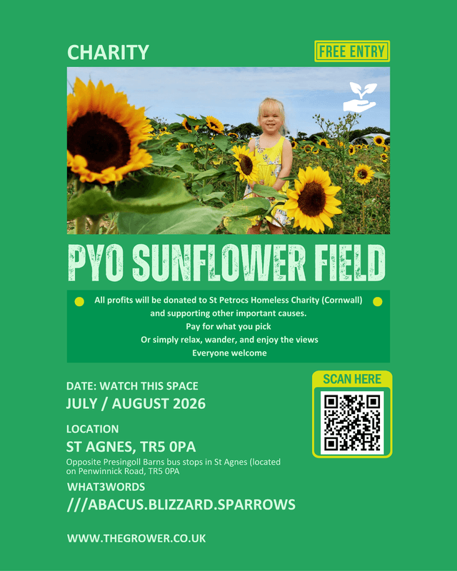 Banner image for PYO SUNFLOWER FIELD