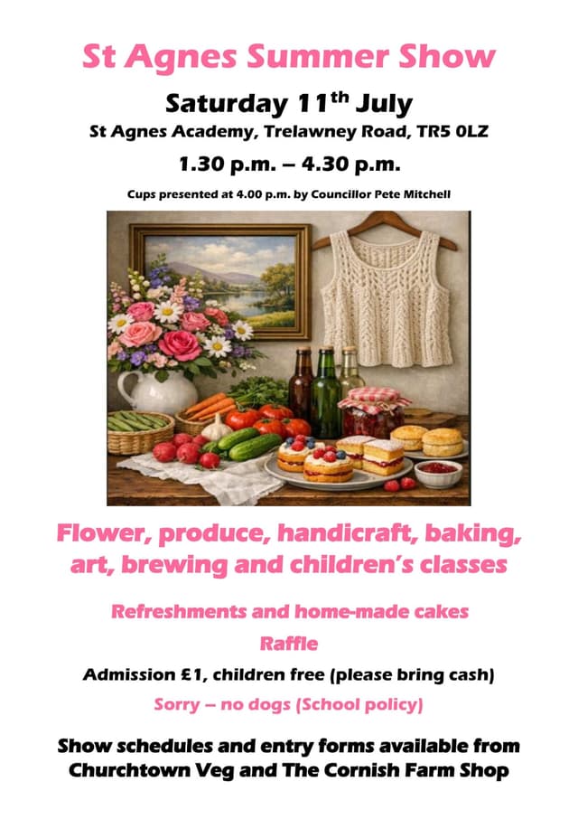 Banner image for St Agnes Summer Show