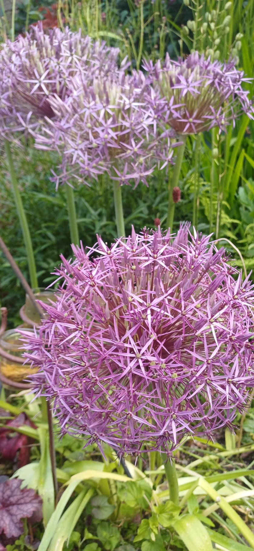 Loving the Garden - garden design
