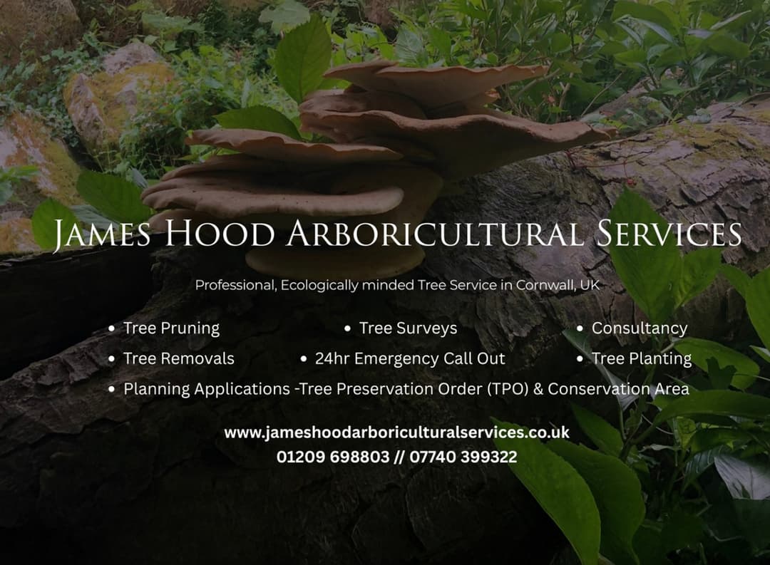 James Hood Arboricultural Services